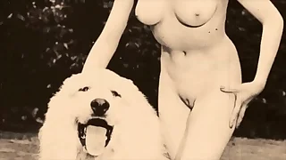 3415 doggy porn videos